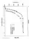 Fig. 11 - Methods for identifying an analog that promotes nerve regeneration