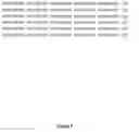 Fig. 10 - Method and kit for the detection of a novel coronoavirus associated with the severe acute respiratory syndrome (SARS)