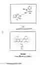 Fig. 12 - Method and kit for the detection of a novel coronoavirus associated with the severe acute respiratory syndrome (SARS)