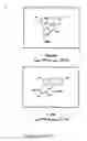 Fig. 16 - Method and kit for the detection of a novel coronoavirus associated with the severe acute respiratory syndrome (SARS)