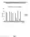 Fig. 05 - Antibodies for oncogenic strains of HPV and methods of their use