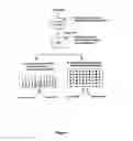 Fig. 02 - Method of designing addressable array for detection of nucleic acid sequence differences using ligase detection reaction