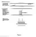 Fig. 07 - Method of designing addressable array for detection of nucleic acid sequence differences using ligase detection reaction
