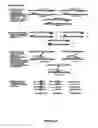 Fig. 22 - Method of designing addressable array for detection of nucleic acid sequence differences using ligase detection reaction