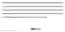 Fig. 13 - Assays for identifying modulators of rhomboid polypeptides