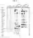 Fig. 05 - Novel dendritic cell-specific polynucleotides and microarray comprising the same