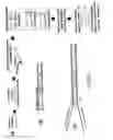 Fig. 02 - Amplification of DNA in a hairpin structure, and applications