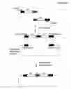 Fig. 04 - High throughput generation and screening of fully human antibody repertoire in yeast