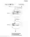 Fig. 07 - High throughput generation and screening of fully human antibody repertoire in yeast