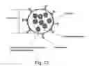 Fig. 15 - Composite organic-inorganic nanoparticles and methods for use thereof