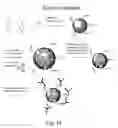 Fig. 17 - Composite organic-inorganic nanoparticles and methods for use thereof
