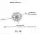 Fig. 19 - Composite organic-inorganic nanoparticles and methods for use thereof