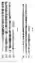 Fig. 05 - Cell death-related nucleases and their uses