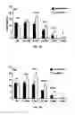 Fig. 10 - Cell death-related nucleases and their uses