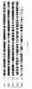 Fig. 14 - Cell death-related nucleases and their uses
