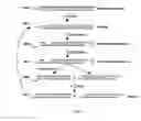 Fig. 23 - Cell death-related nucleases and their uses