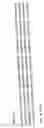 Fig. 07 - Detection and identification of and epidermidis using the 16S-23S rRNA spacer