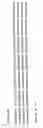Fig. 15 - Detection and identification of and epidermidis using the 16S-23S rRNA spacer