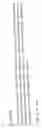 Fig. 71 - Detection and identification of and epidermidis using the 16S-23S rRNA spacer