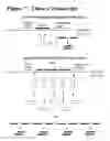 Fig. 08 - RNA interference mediated target discovery and target validation using short interfering nucleic acid (siNA)