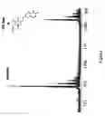 Fig. 09 - Microrna as ligands and target molecules