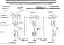 Fig. 01 - Aptamers and methods for their in vitro selection and uses thereof