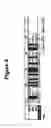 Fig. 10 - Aptamers and methods for their in vitro selection and uses thereof