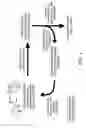 Fig. 02 - Evolving new molecular function