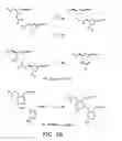 Fig. 04 - Evolving new molecular function