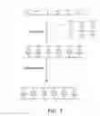 Fig. 05 - Evolving new molecular function