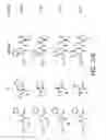 Fig. 24 - Evolving new molecular function