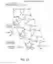 Fig. 32 - Evolving new molecular function