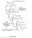 Fig. 33 - Evolving new molecular function