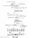 Fig. 52 - Evolving new molecular function