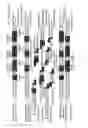 Fig. 57 - Evolving new molecular function