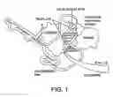 Fig. 02 - Measuring enzymatic activity