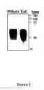 Fig. 03 - Oligonucleotide probe sets and uses thereof