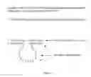 Fig. 05 - Prostate cancer-related compositions, methods, and kits based on DNA macroarray proteomics platforms