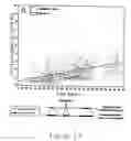 Fig. 09 - Use of the combing process for the indentification of DNA origins of replication