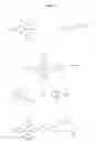 Fig. 02 - Oligonucleotides containing molecular rods