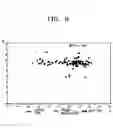 Fig. 07 - Robust genotyping method using DNA chip having discriminating probe and amplicon probe immobilized thereon and DNA chip used therein