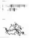 Fig. 23 - Nucleic acids encoding an enediyne polyketide synthase complex
