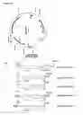 Fig. 37 - Nucleic acids encoding an enediyne polyketide synthase complex