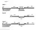 Fig. 09 - Tools for detecting 