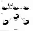 Fig. 02 - Methods for ligand discovery