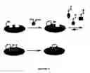 Fig. 09 - Methods for ligand discovery