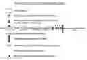 Fig. 01 - High bone mass gene of 11q13.3