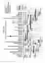 Fig. 07 - High bone mass gene of 11q13.3
