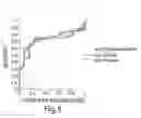 Fig. 02 - Method for diagnosing diseases based on levels of anti-glycan antibodies