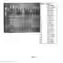 Fig. 19 - Method for detecting microorganisms